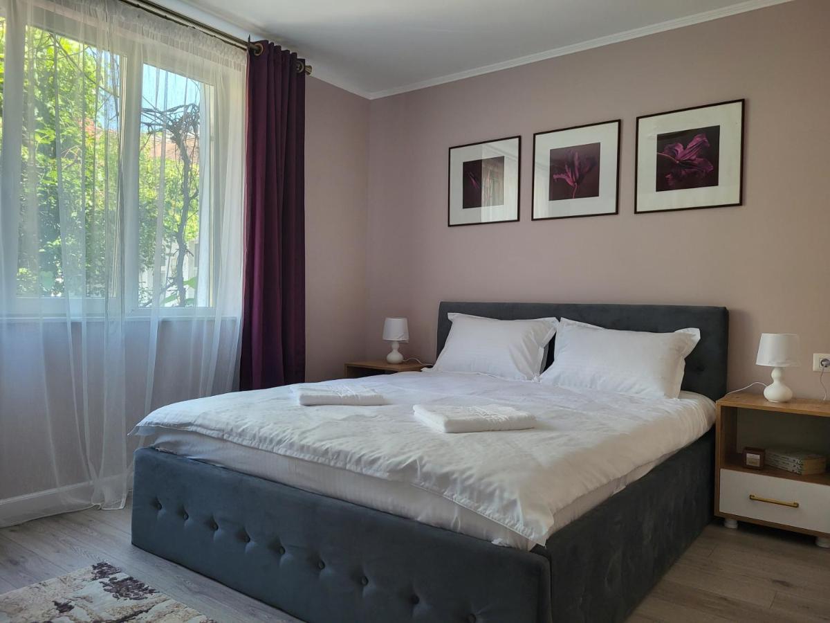 Pandora Central Apartment Kaloşvar Dış mekan fotoğraf